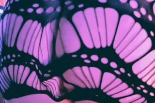 "♡♡100% Real, Genuine BBW!~Thick Thighs, Bedroom Eyes, and A Mouth to Die For!~Let Me UNDRESS Your STRESS, and Help You to ESCAPE Reality!~Available in Hillsboro/Beaverton Area!~Incall & Outcall availability!♡♡" - Image 5