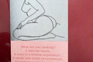 What are you seeking a delicat... - Image 1