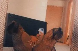 (OUTCALLS ONLY) Upscale Skille... - Image 3