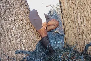 “Cool, Classy, and Just Around... - Image 4