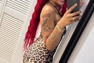 cardate - 20 - Image 1