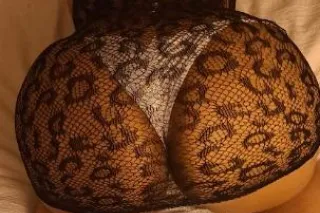 thick persian treat ready to s... - Image 2