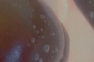 💕💕 OUTS ONLY , must be uber or lyft ready soaking wet throat , kome & see 😘😜 - Image 1