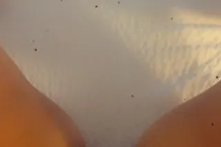 New ((= ExTremeLy SEXY =)) 🌸o•... - Image 1