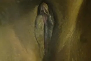 Cum guzzling whore for a big cock - Image 6