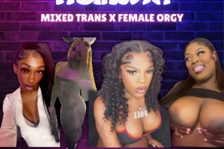 DOLLHOUSE FUCKFEST MIXED ORGY PARTY DOORS OPEN NOW - Image 11
