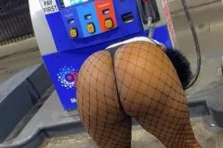 miss poundcakes, a.k.a. Coco -... - Image 3