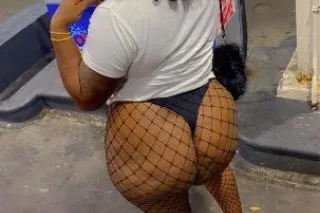 miss poundcakes, a.k.a. Coco -... - Image 1