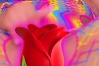🌹Out Calls Only 🌹Blasian Persu... - Image 4