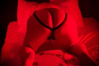 Video Shows Available Today - Image 6