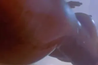 Tight , Wet & Fun 💦🤪 - 26 - Image 2