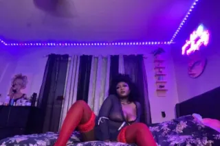 Exotic Mix Doll🎀HERE FOR YOUR ... - Image 3