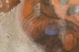 petite lil exotic asian 🪷 avai... - Image 2