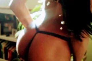 playful - 31 - Image 1