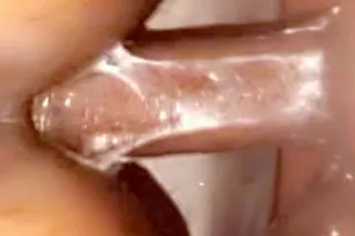 💦✈ Back In Town ✈💦 incalls out... - Image 2