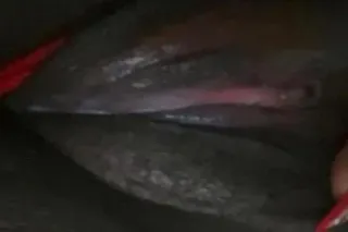 pregnant pussy carplay only - ... - Image 1