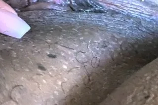 Wet 💦Wild Qv Specials and Vide... - Image 3