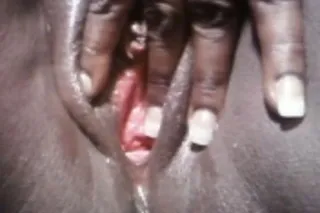 Chasing a 💰💰💰💰 - 40 - Image 2