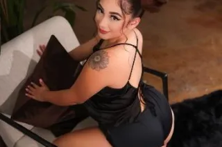 All-Star TRAVELING Gentleman’s... - Image 3