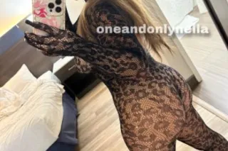 All-Star TRAVELING Gentleman’s Provider 🧚🏼♀ - Image 7