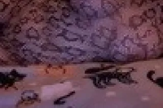 I ACCEPT PAYMENT ON ARRIVAL 💰💯 NEWLY VERIFIED SEXY 🤤🤤HOT 🔥WHITE GIRL❤️❤️ - Image 7