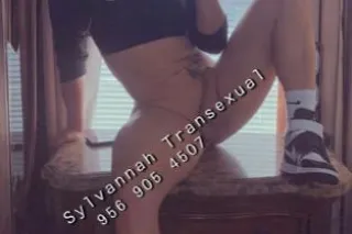 💞⚜💕🌟 Ostentosa Sylvannah FOTOS... - Image 4