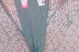 Creamyy Candyy Saturday Seduction Phat Pussy BBW 😻👅💦💋 incalls onlyyyyyy - Image 8