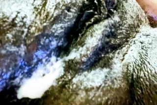 💦💋BEAUTIFUL BLACK GODDESS💋💦 - Image 8