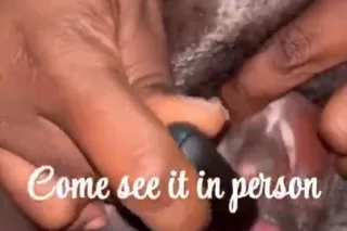 PULASKI HIGHWAY📍 UR🫵NEW FAVORITE OBSESSION 🍒 A💓_YυϻϻY💓 BBW tƦ℮αT💝✷💋 WithSkiLLz💦👅💦 OF A Champ🏆🏋🏾♀ the ᴿᴱˢᵀ ᴰᴼᴺ'ᵀ ᴱᵛᴱᴺ ᶜᴼᴹᴾ SEXY BBW PRETTY EYEZ ᴬᴿᴱ 💕😘 - Image 10