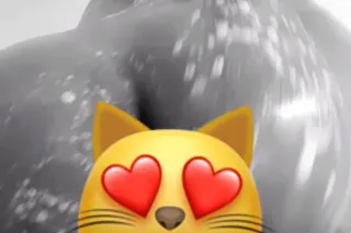 INCALLS-CARPLAY📲💋 - Image 1