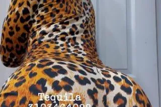 xxx 💦 very freaky girl ☺pretty feet 💕 discreet📍GARDENA incall and FT SHOWS📍 wet pussy💦 sexy pierced titties☺ - Image 8