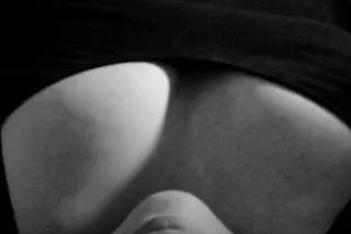 Fenix has risen... Yes I am here. The original Envy. Brains, curves, and a dangerous sense of humor. - Image 5