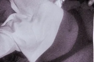 Fenix has risen... Yes I am here. The original Envy. Brains, curves, and a dangerous sense of humor. - Image 9