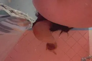 Sloppy toppy w your fave mexic... - Image 1