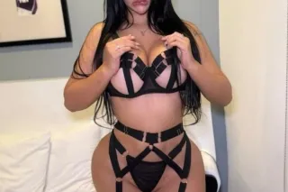 Sofi latine - Image 2