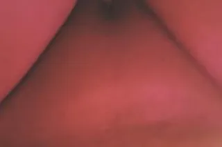 sexy sexy - 44 - Image 1