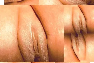 🤩🥰😍Sweet,Delightful , and Tast... - Image 1