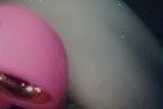 100🍒🍀SEXY VIDEO CHAT WITH PICT... - Image 4