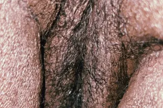 SUPER HEAD SUPER WET💦💦 - 23 - Image 1