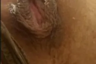 Ta$tE of a TeXa$ Tea$e with a ... - Image 1