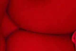💋💕incall wet n ready💋💃🏾 2 girls - Image 1