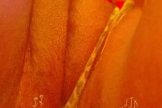 Pussy Wet .. Super Soaker 🤤🤤💦💦💦💦😍 - Image 5