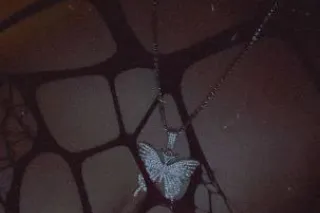 Sexy Bbw Ready 2 Play 🤩 Availa... - Image 2