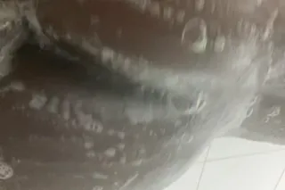 Young Brown & Wet 💦CLEAN✅GOOD ... - Image 1