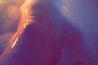 partner in crime 🤤🥰😉 during some WILD fun - Image 8