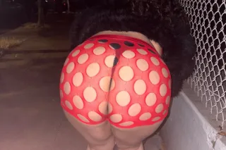 hi babes🥰Available in San Jose... - Image 4