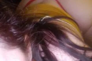 Classy Cuddly white Kitten- Pr... - Image 2