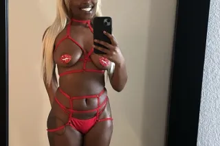 5⭐Service ᴛʜᴇ ᴘᴇᴛɪᴛᴇ ᴘʟᴀʏʜᴏᴜꜱᴇ {Yo Habla Poquito de Espanol) - Image 5