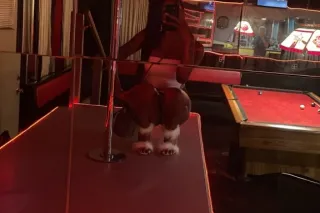 😺TIGHT PYT GRIP😺 🍫UPSCALE SLIM CHOCOLATE 👌🏾🍫 💦TWO 🥜 SPECIALS💦 😈COME PLAY DADDY😩 🌹150 QV TONIGHT ONLY 🌹 - Image 1