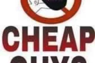 DRIVE TO POUGHKEEPSIE FOR $50 OFF RAW SERVICE ONLY BEST DEEPTHROAT HEAD AND CREAMY PUSSY WITH A FAT ASS .. COME SEE ME WE FUCK IN YOUR CAR. NO LIARS. DONT HMU WASTING MY TIME, LYING OR PLAYING GAMES. NO CHEAP MEN. I DONT DO SERVICES UNDER $120. - Image 6